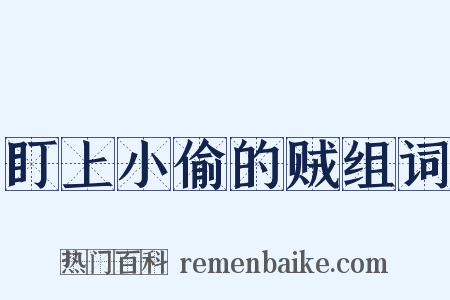 盯上小偷的贼组词是什么意思的图片